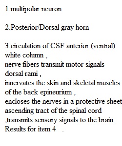 Lab Quiz 3